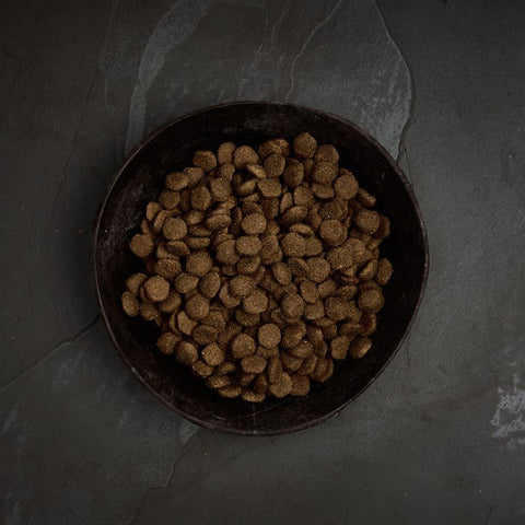 Canagan, Scottish Salmon Dry Food For Dogs, All Ages - Sparkly Tails