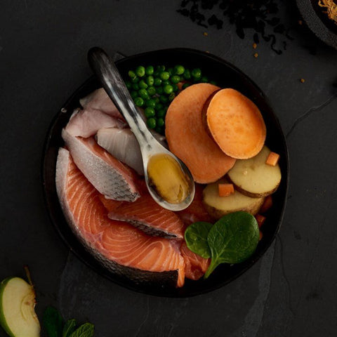 Canagan, Scottish Salmon Dry Food For Dogs, All Ages - Sparkly Tails