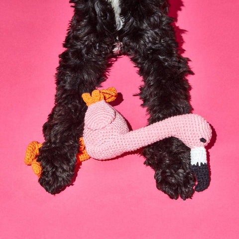 dog playing Crochet Flamingo Squeaker Dog Toy standing