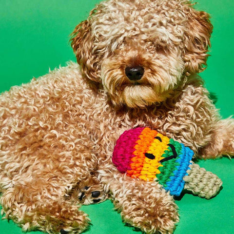 Crochet Rainbow Lolly, Recycled Cotton - Sparkly Tails