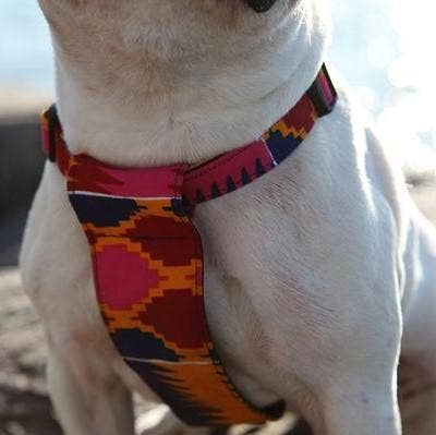 Dakar Dog Harness - Sparkly Tails