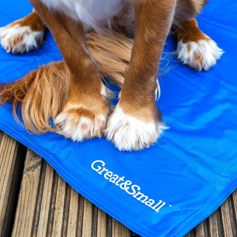 Dog Cool Mat - Sparkly Tails