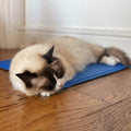 Dog Cool Mat - Sparkly Tails