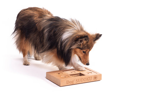 dog playing Pet Sudoku Puzzle For Dogs and Cats, Medium Size