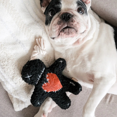 Voodoo Squeaker + Crinkly, Limited edition Halloween Dog Toy
