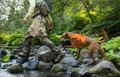 Person in outdoor gear with a dog wearing an blace orange Ruffwear harness crossing a stream in a forest.