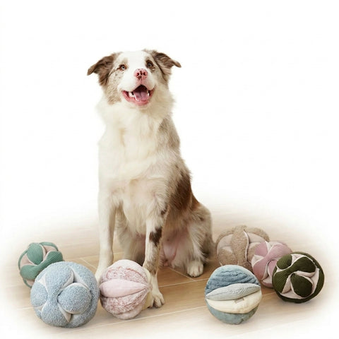 New Enrichment Toys!