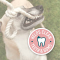 Dog chewing on a rope toy with a label indicating it helps clean teeth and gums.