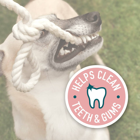 Dog chewing on a rope toy with a label indicating it helps clean teeth and gums.