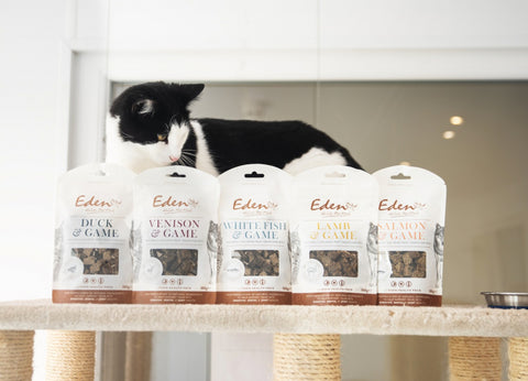 Venison & Game Treats for Cats and Dogs