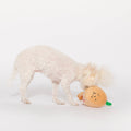 Enrichment Dog Toy, Yellow Onion - Sparkly Tails