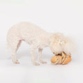 Enrichment Dog Toy, Yellow Onion - Sparkly Tails