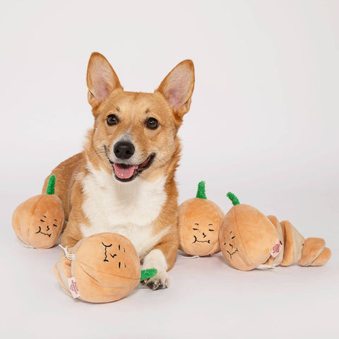 Enrichment Dog Toy, Yellow Onion - Sparkly Tails