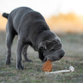 Fetch Dog Toy Bouncy Rope Made From Organic Natural Rubber - Sparkly Tails