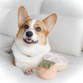 Grapefruit, Enrichment Dog Toy - Sparkly Tails