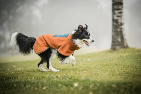 Hardwearing Alpha 360 Fleece Pullover, Terracotta Mix - Sparkly Tails
