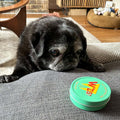 Customer's dog with W'ZIS Slipper & Biscuit treats — Sparkly Tails