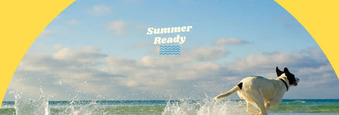 Dog running on a beach with 'Summer Ready' text and yellow border