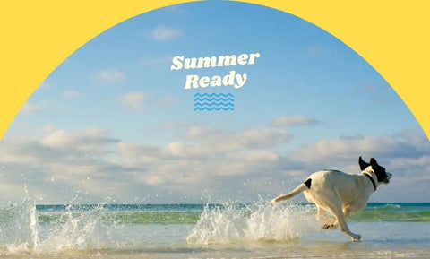 Dog running on a beach with 'Summer Ready' text and sun graphic