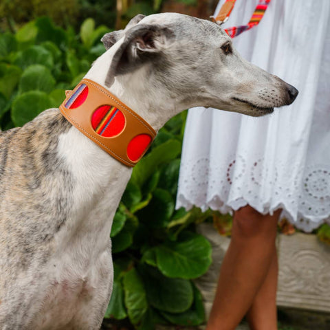Inca Orange Hound Collar - Sparkly Tails