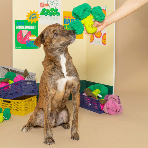 Interactive Dog Toy Broccoli Nosework - Sparkly Tails