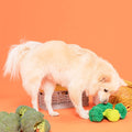 Interactive Dog Toy Broccoli Nosework - Sparkly Tails