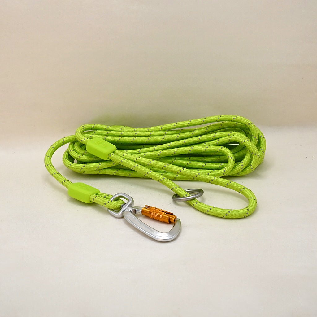 Long and Thin Rope Lead for Dogs, Neon, 20' (6.1 m) – Sparkly Tails