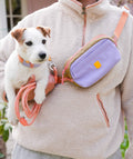 Multi - Functional Dog Walking Bum Bag, Recycled Material, Lavender Mix - Sparkly Tails