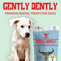 Natural Dental Treats for Dogs, Apple & Banana - Sparkly Tails