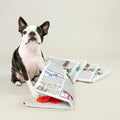 Newspaper Dog Portable Snuffle Mat - Sparkly Tails