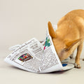 Newspaper Dog Portable Snuffle Mat - Sparkly Tails