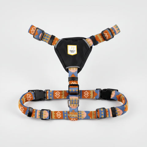 Dog harness with colorful pattern on a white background