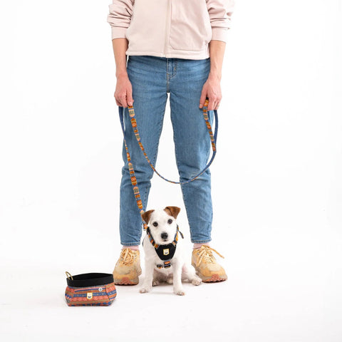 Person wearing a beige jacket and cap with a dog on a leash against a white background