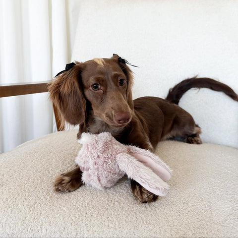 Bunny Pop Enrichment Dog Toy