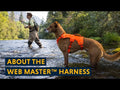 Ruffwear Web Master Harness video