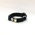 Raven Black Dog Collar - Sparkly Tails