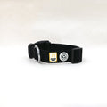 Raven Black Dog Collar - Sparkly Tails