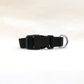 Raven Black Dog Collar - Sparkly Tails