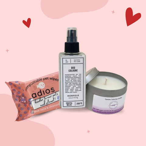 Relaxing With Your Dog - Sparkly Tails