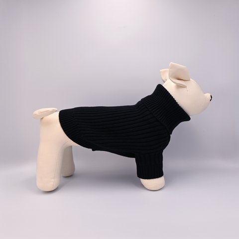 Dog wearing a black sweater on a light gray background