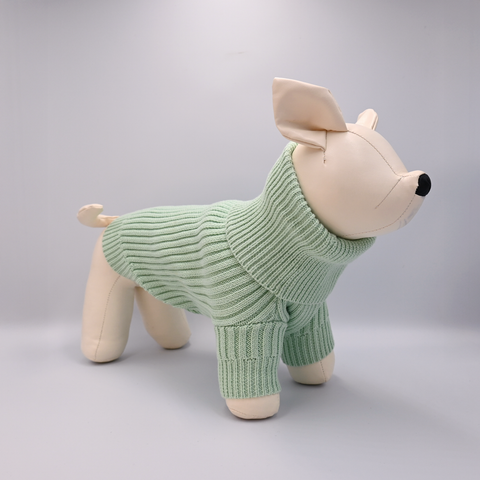 Dog mannequin with a Green sweater on a Grey background