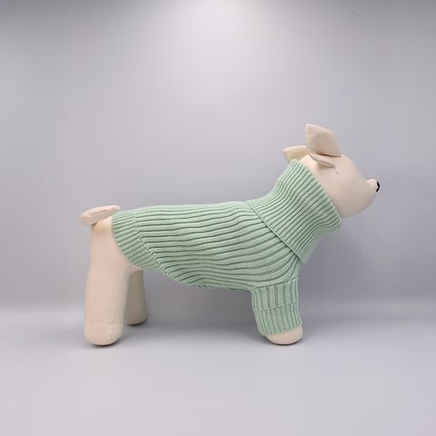 Dog mannequin wearing a Green sweater on a Grey background