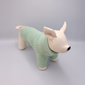 Dog mannequin with a Green sweater on a Grey background