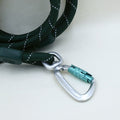 Rope Dog Lead Made From Recycled Bottles, Evergreen, 5.9' (180 cm) - Sparkly Tails