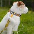 Woolly Wolf Rope Dog Leash Thin Pistachio colour detail showing RPET rope texture