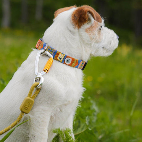 Woolly Wolf Rope Dog Leash Thin Pistachio colour detail showing RPET rope texture