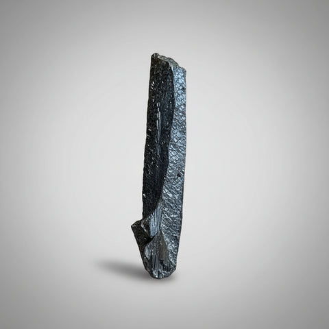 salmon skin roll for dog