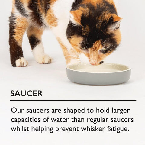 Icon Saucer Cat Bowl, Cream