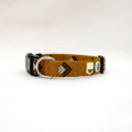 Sea to Summit Dog Collar - Sparkly Tails