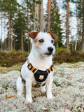 Sea to Summit Dog Harness, Recycled Material - Sparkly Tails